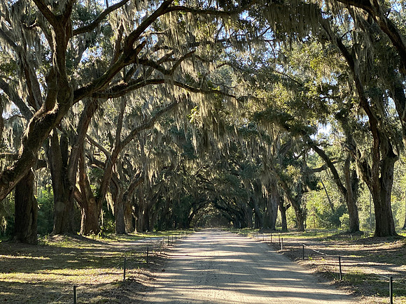 IMG_2323