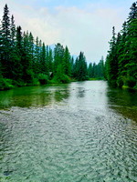 IMG_0750
