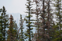 DSC00760