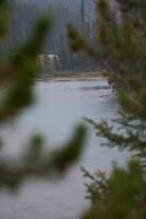 DSC00770