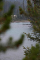 DSC00771